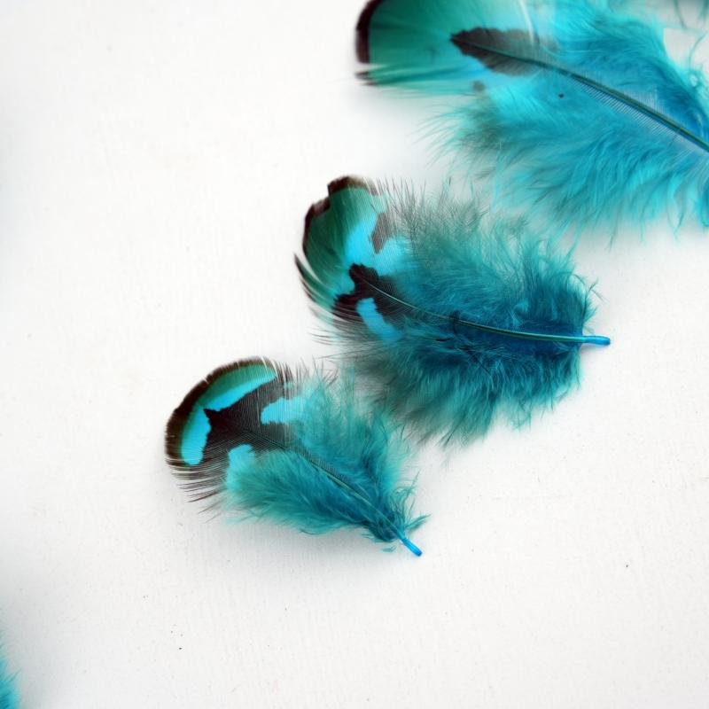 Natural DIY Pheasant Feathers  - مراجعة Wedding Supply Bulk وسعره