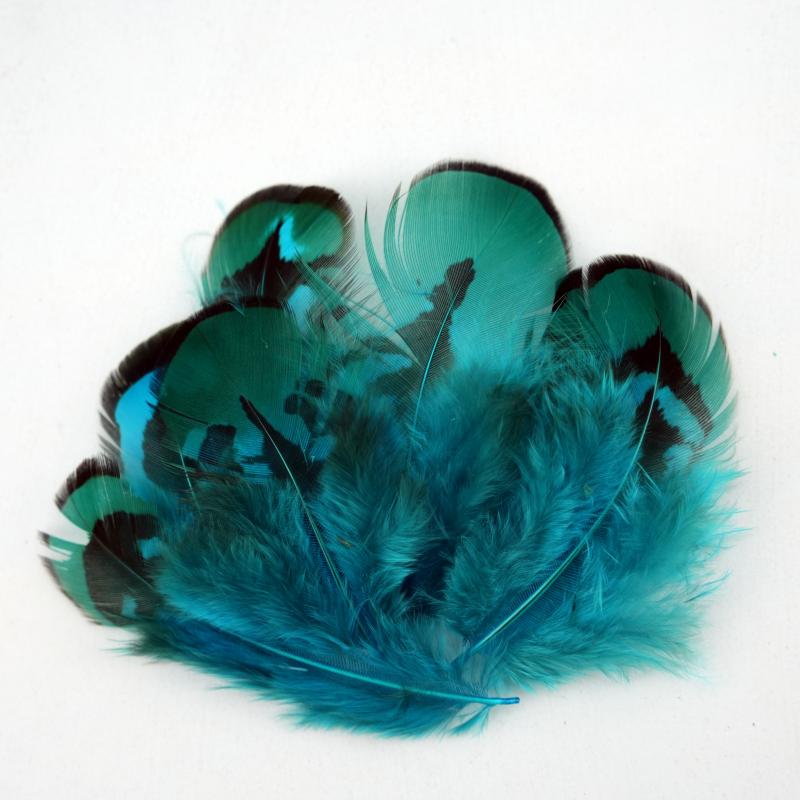 Natural DIY Pheasant Feathers  - مراجعة Wedding Supply Bulk وسعره