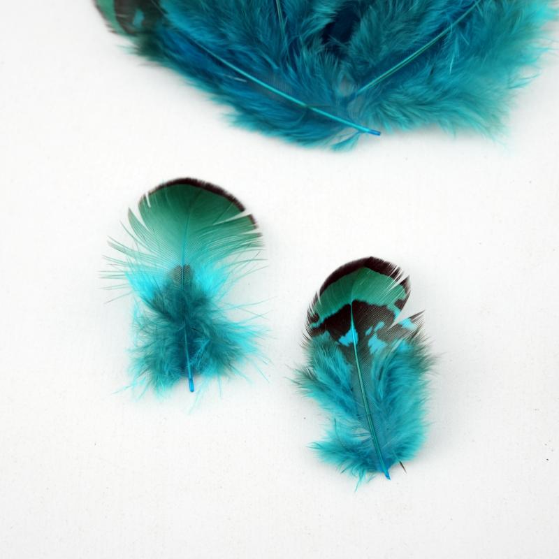Natural DIY Pheasant Feathers  - مراجعة Wedding Supply Bulk وسعره