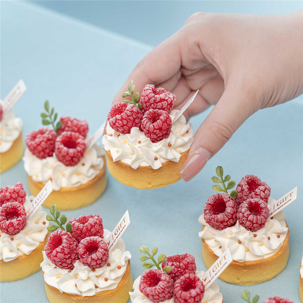 fake food dessert props shop s - مراجعة Wedding Party Supply Store وسعره